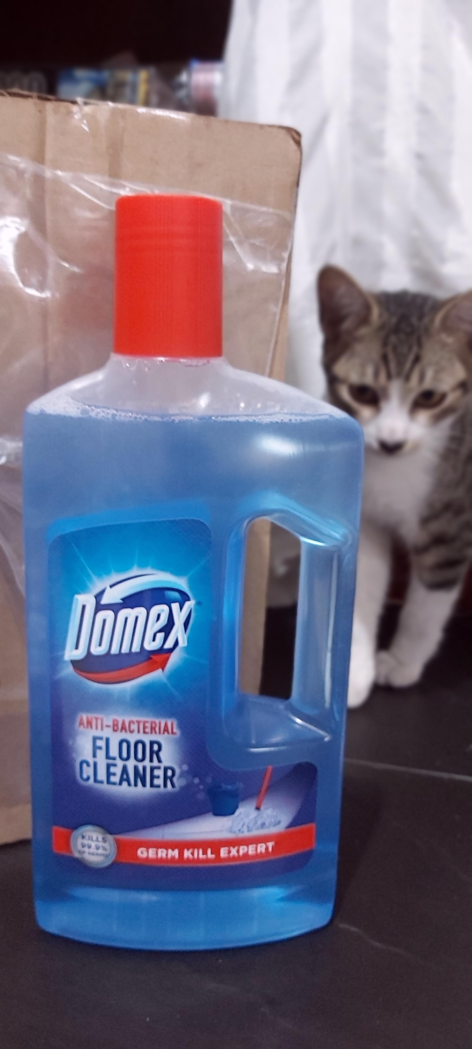 Antibacterial floor cleaner by Domex review Cleaning supplies